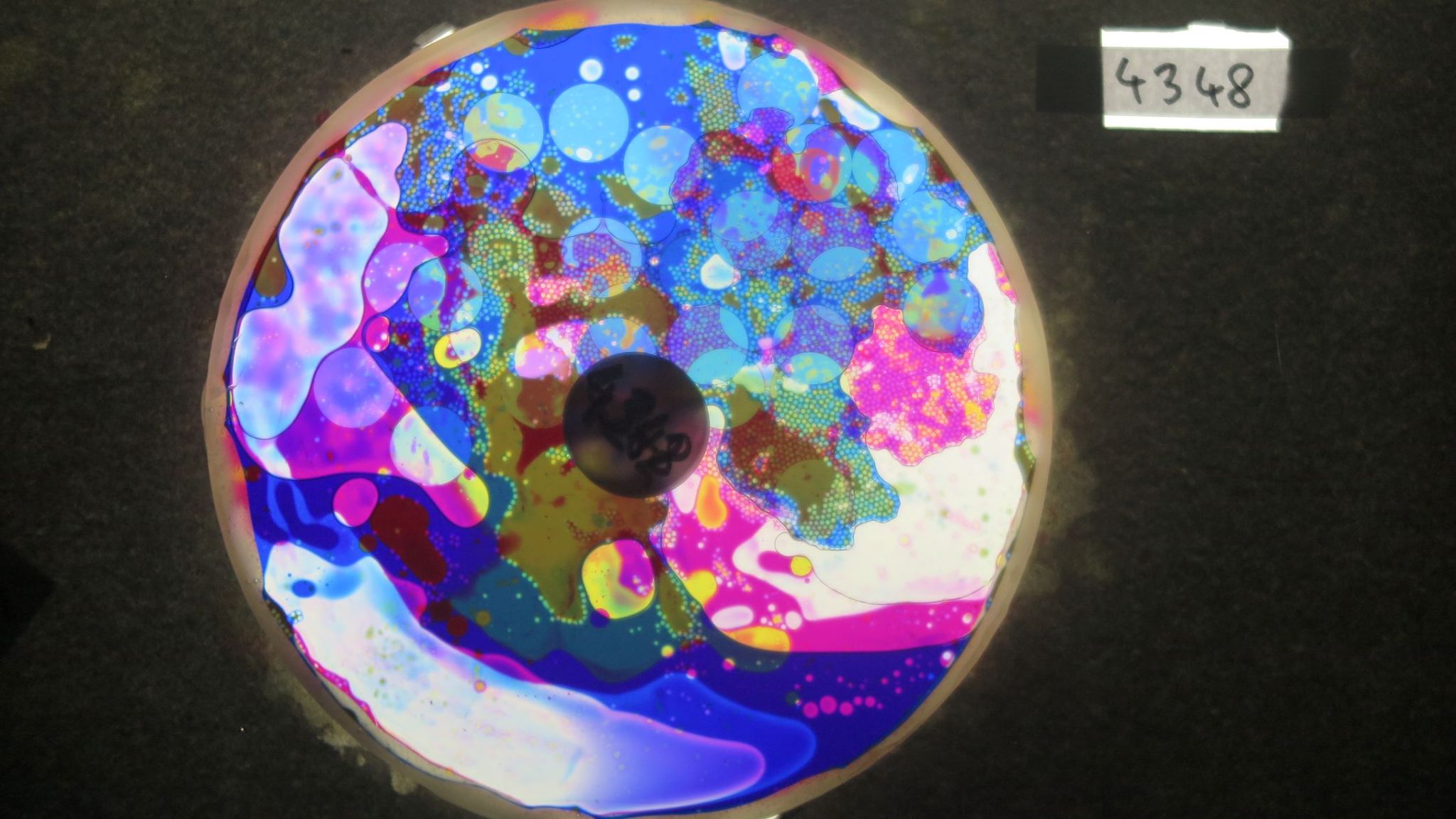 BV4348 bubble vision oil wheel